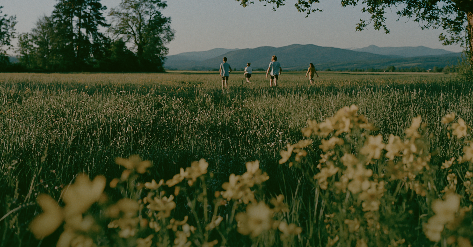 Kids running through a wildflower meadow at golden hour